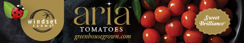 Windset Farms - Aria Tomatoes