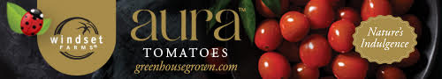 Windset Farms - Aura Tomatoes - Nature's Indulgence