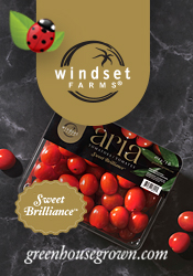 Windset Farms - Aria Tomatoes