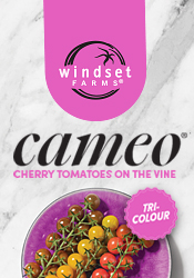 Windset Farms - Cameo - Cherry tomatoes on the vine