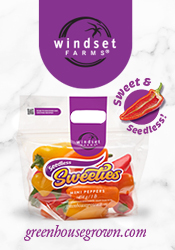 Windset Farms - Sweeties Mini Peppers
