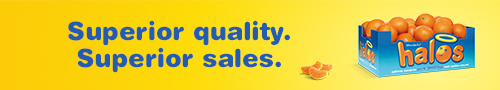 Halos - Superior Quality, Superior Sales