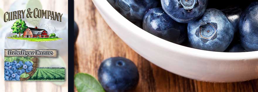 Curry &amp; Co. Partners with Driediger Farms to Expand Blueberry Program