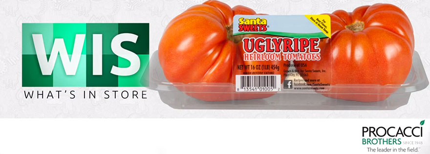 Procacci Brothers Increases UglyRipe Tomato Production