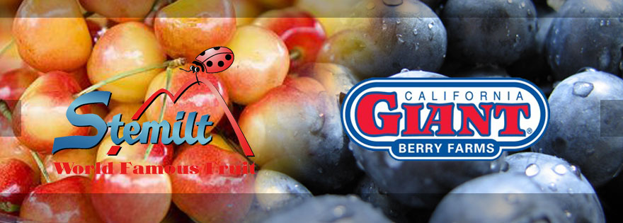 Stemilt Growers, Cal Giant