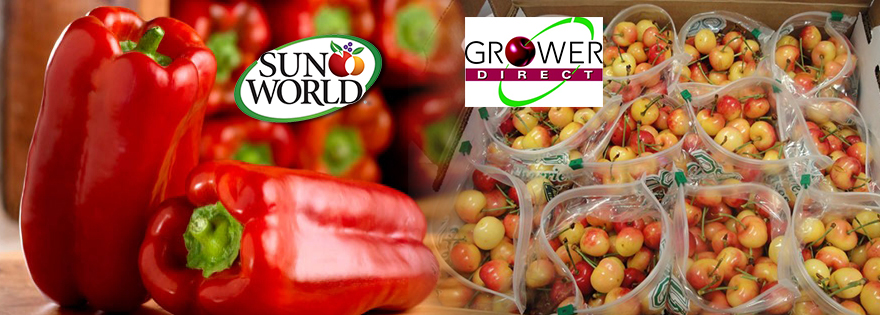 Sun World Peak Pepper Season in Coachella, Grower Direct Marketing California Rainier Cherry Season