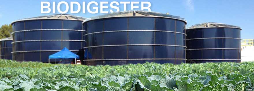UC Davis Turns Kale and More Student-Grown Produce into Clean, Renewable Energy