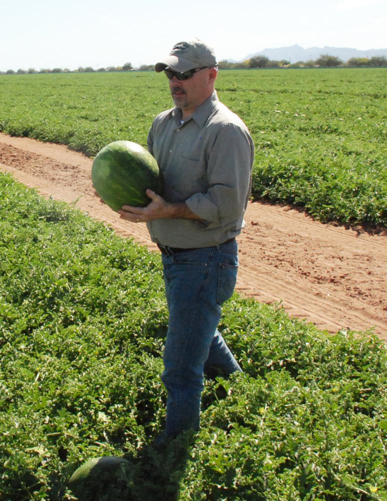 Giumarra Increases Watermelon Tonnage in Mexico