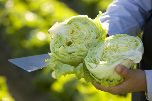 Sysco Sustainability Report Images