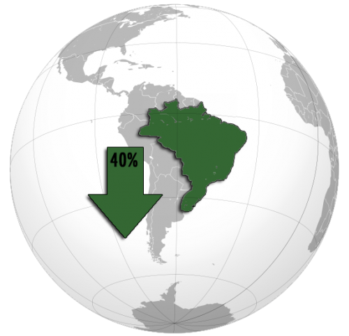 Brazilian Grapes