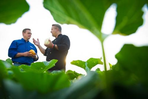 Sysco Reports Sustainability Results