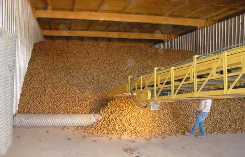 Colorado Potato Administrative Committee Promotes Spring Campaign - IMAGES