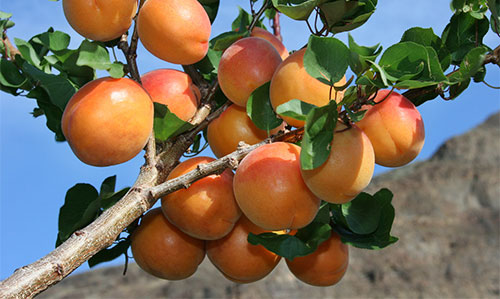images 060314