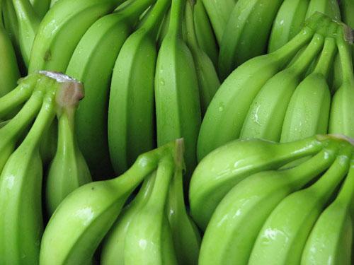 Images011513
