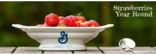 Wish Farms Partners with General Mills for New Marketing Campaign - IMAGES