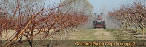 Cropped Images April 5th 2013