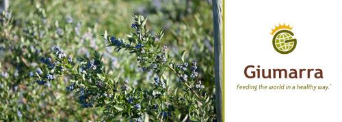 Images 011613