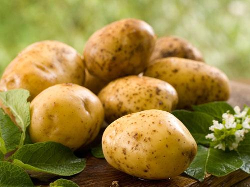 images 041513