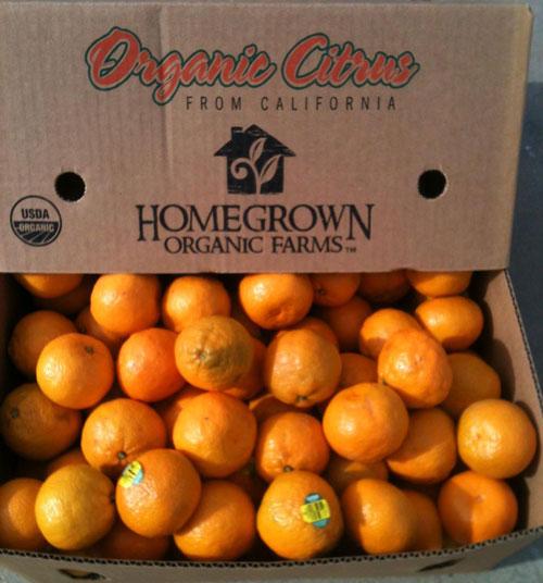 Homegrown organics images