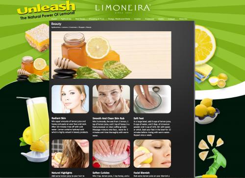 Limoneira teams up with LA based experts pic