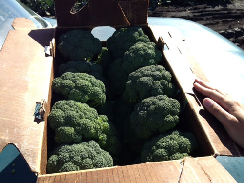 Images 020514