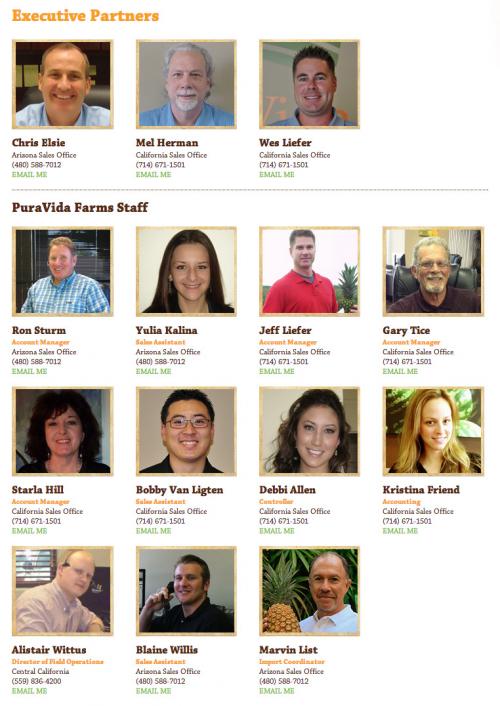 Pura Vida Website Images