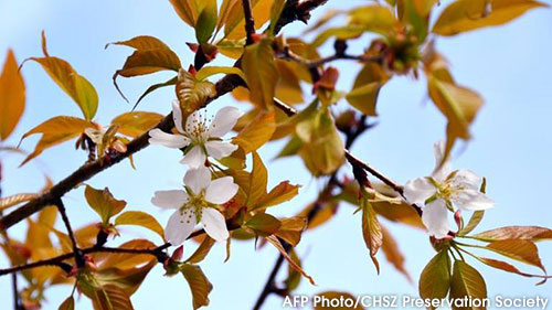 Cropped Images Apr 9th 2014