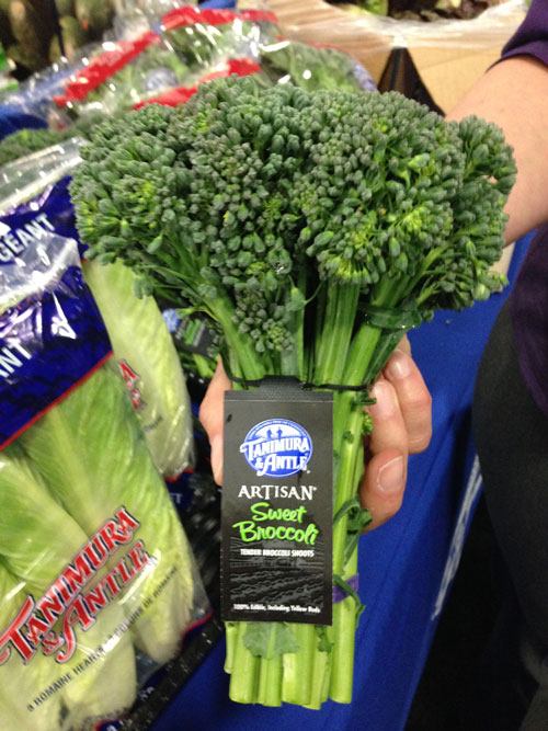cropped_image_042814
