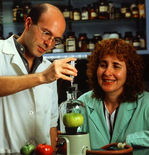 Chemicals Responsible for Boosting Tomato Flavor Identified - IMAGES