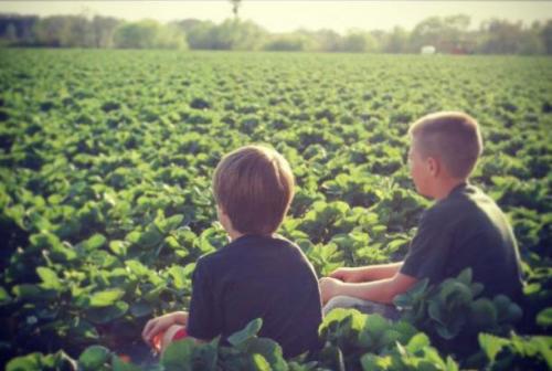 Wish Farms Partners with General Mills for New Marketing Campaign - IMAGES