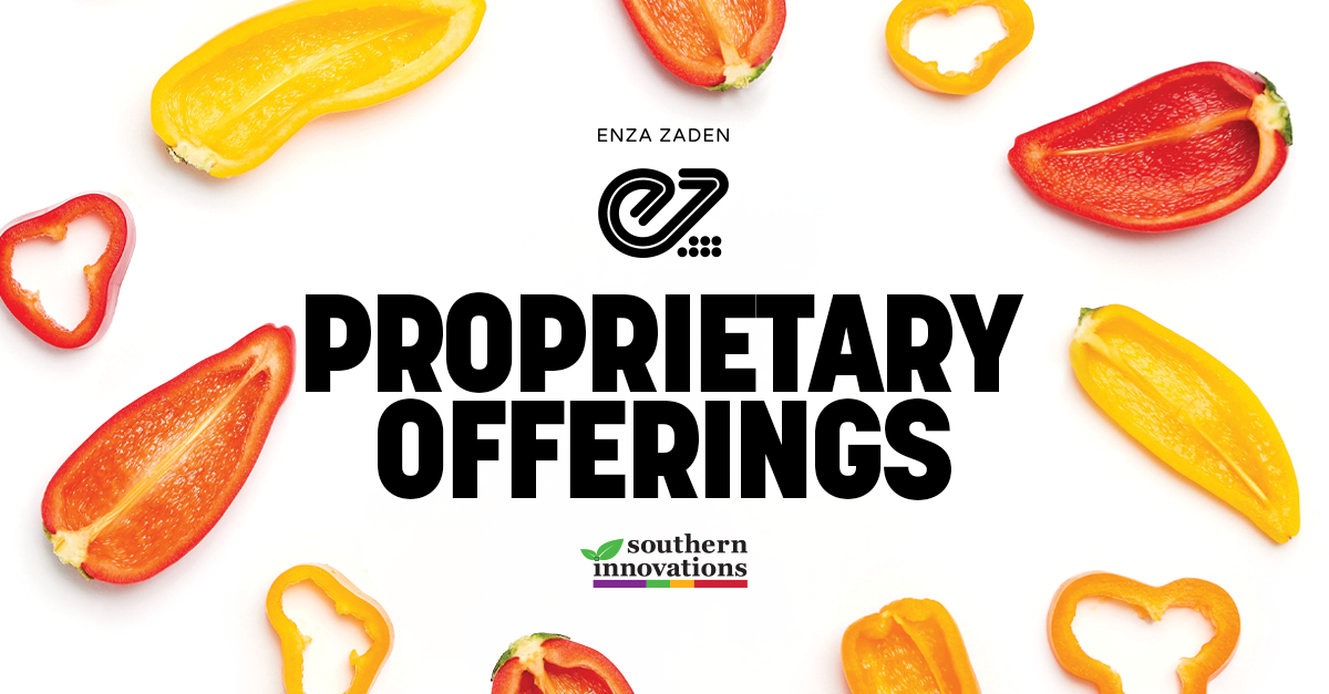 Enza Zaden Brings Tribelli® Seedless Innovation and Retail Flexibility to Southern Innovations; Eli Collins Discusses