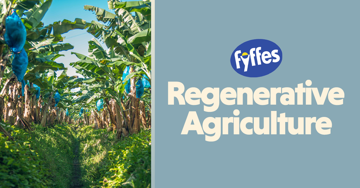 Fyffes Aims for Regenerative Agriculture Across 13,000 Hectares of Farmland by 2035; Sheila Morrison Shares