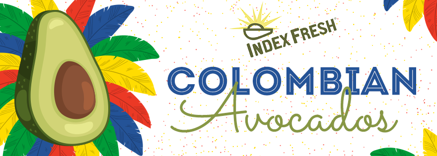 Index Fresh Launches Second Colombian Avocado Season