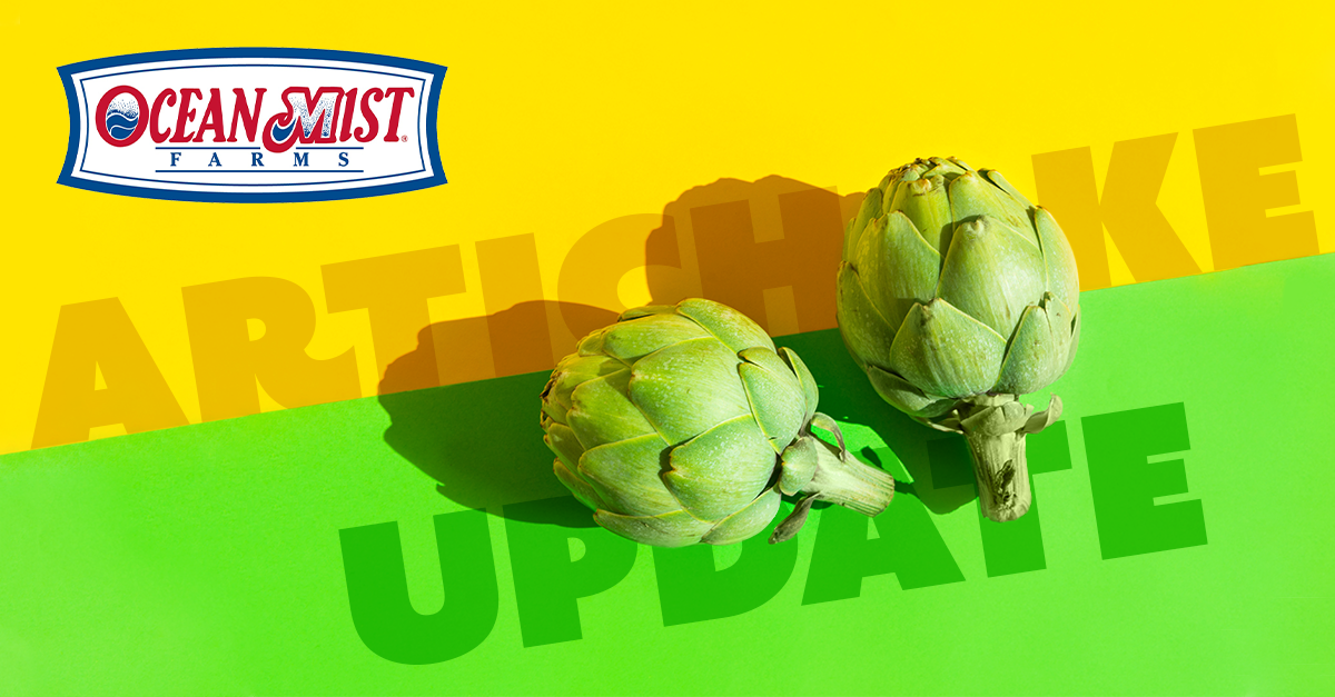 Ocean Mist® Farms' Ben Wilson Details Current Artichoke Market