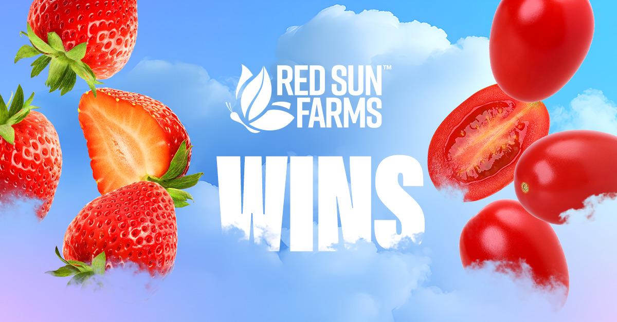 Red Sun Farms Named Winner of Best Berry Overall, Best Strawberry. and Hottest Roma Tomato at Leamington Tomato Competition; Paul J. Mastronardi and Harold Paivarinta Comment