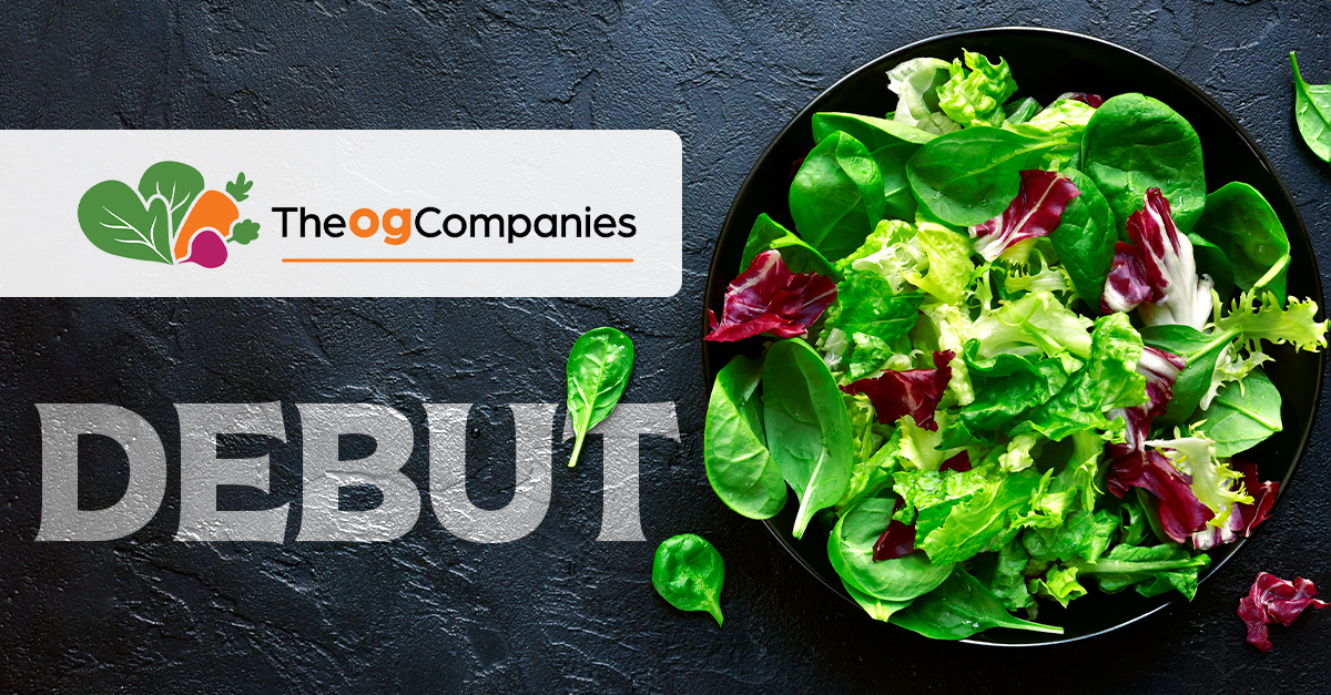 Modern Identity, New Leadership, and Strengthened Local Ties Mark the Debut of TheogCompanies; Tim Stejskal Comments
