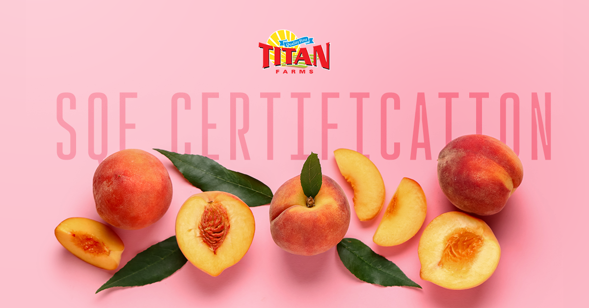 Titan Farms Achieves SQF Quality Certification; Ross Williams and Taylor Berry Comment