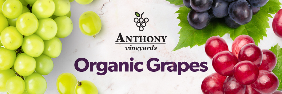 Organic Grapes