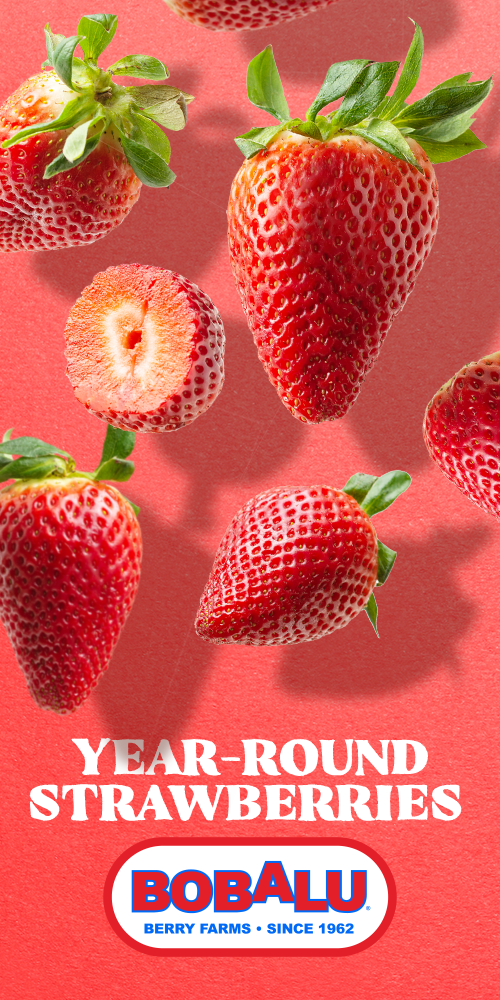 Bobalu Berries - Year-Round Strawberries