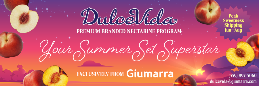 Your Summer Set Superstar