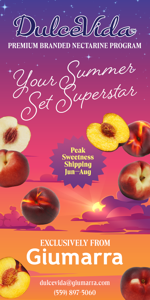 Your Summer Set Superstar