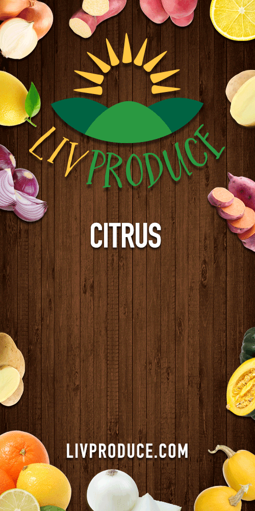LIV Produce - Bringing Organic and Conventional Grower Partnerships to Market