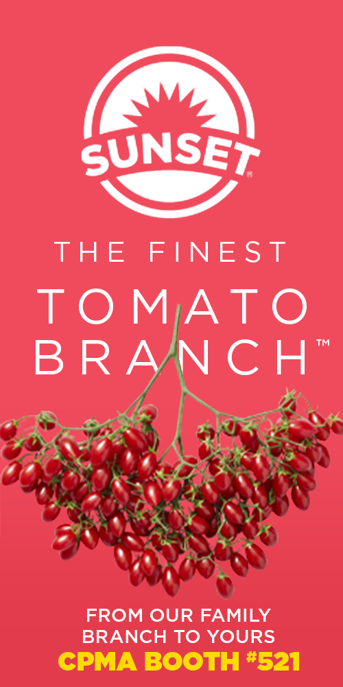 The Finest Tomato Branch