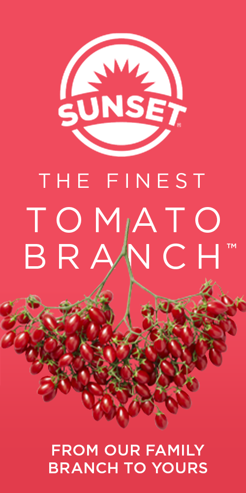 The Finest Tomato Branch