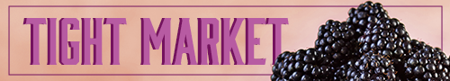 Blackberry Market Insights