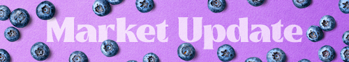 Blueberry Update