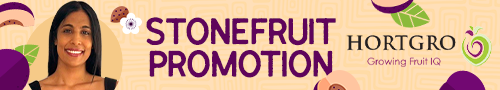 "Plum Possibilities" Sweepstakes