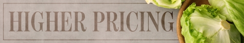 Iceberg Pricing Higher