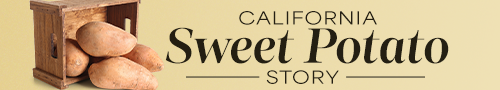 Sweet Potato Category Insights