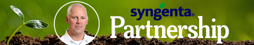 Syngenta Vegetable Seeds